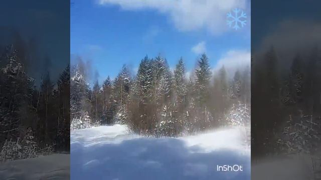 #На квадроцикле# Весна#Лес#Еловый бор# карьер# на даче# первое видео# с ребенком# смотреть онлайн