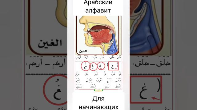 Буква "ГОЙН" غ и звуки. #Арабский алфавит для #начинающих #beautiful  #arabic #Quran #islam