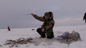 Ловля окуня на блесну зимой.