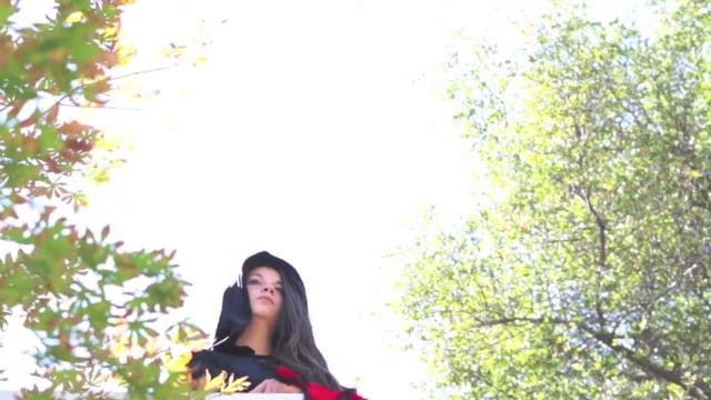 The Three Musketeers - 3M Director's Cut CdC смотреть онлайн