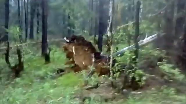 Ураган в Нижнем Тагиле 3.06.2017г. смотреть онлайн