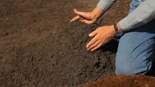 Aluminum Sulfate for Hydrangea Care смотреть онлайн