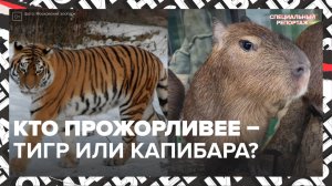 Сколько едят животные из столичного зоопарка? — Москва 24 | Контент