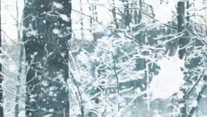 Снежный вальс.