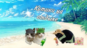 Котики на море! ?
И они поехали в аквапарк! ??