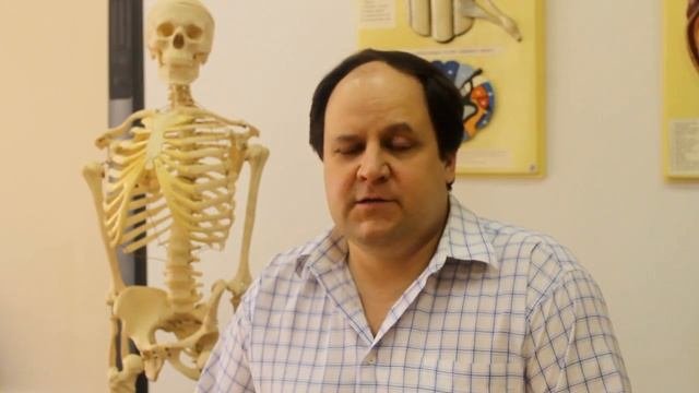 Анатомия. Введение
