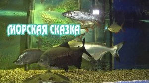 Отдых в Сказке