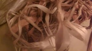 лыко мочало размочить заготовить