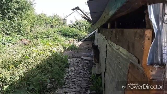 КОНТАКТНЫЙ ЗООПАРК ПРИНОСИТ ПОЛЬЗУ)))??? смотреть онлайн