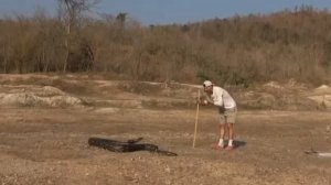 Змея против человека