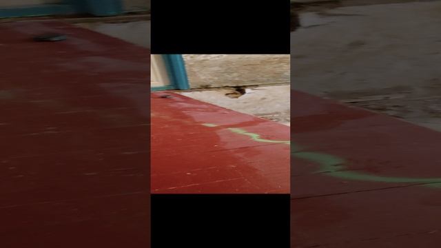 Ремонт комнаты 1