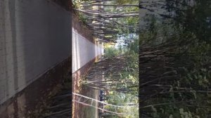 САНАТОРИЯ ЗЕЛЁНАЯ РОЩА УФА