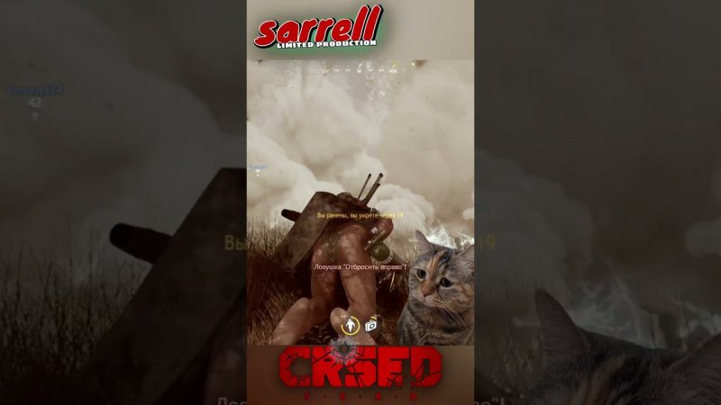 ГОРЕ-ДЕСАНТНИК #crsed #crsedfoad #cuisineroyale #кузинрояль #crsed_f_o_a_d #shortvideo #игра