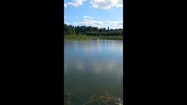 Рыбалка Экоранчо смотреть онлайн