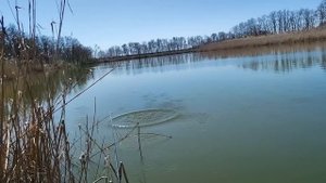 ОТЛИЧНАЯ РЫБАЛКА)СТ.ВАСЮРИНСКАЯ .Отдых всей СЕМЬЁЙ !!!2023г.