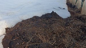 Мульча И Теплые Грядки Весной