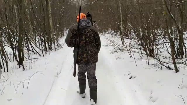 Загонная охота на кабана и касулю 27.12.2020. смотреть онлайн