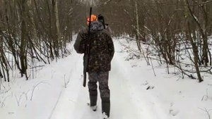 Загонная охота на кабана и касулю 27.12.2020.