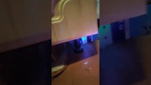 Что делать если к вам домой запрыгнула лягушка | Лягушки дома