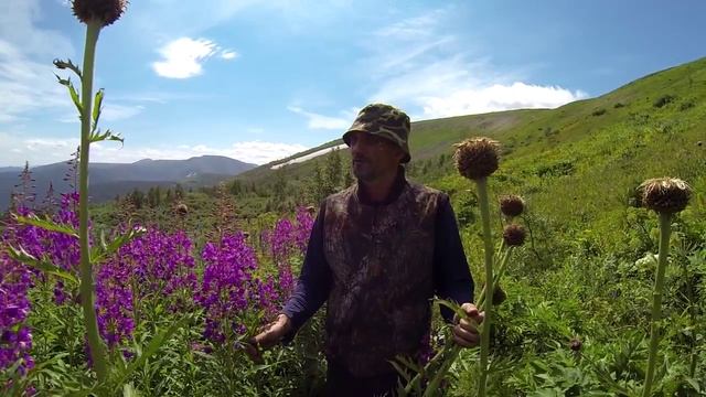 Этно-мёд. Какой мы веры? О домашнем мёде и Иван чае. смотреть онлайн