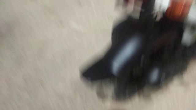 Скутер Хонда Зуммер AF58 смотреть онлайн