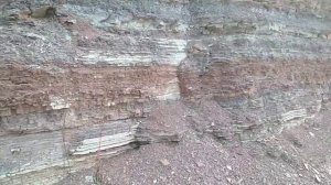 Разноцветные пласты отложений древнего моря, морская глина окаменевшая в Сибири