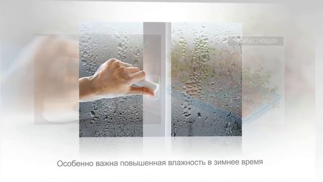 СТРОМАНТА из семейства МАРАНТОВЫЕ. Как ухаживать за стромантой