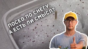 Посев семян на снег