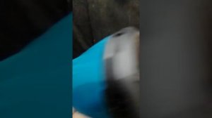 краскопульт аккумуляторный 21v