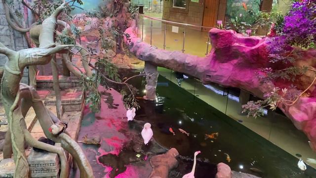 27 июня 2023 г. смотреть онлайн