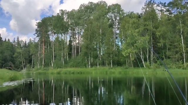 3 сентября 2022 г. смотреть онлайн