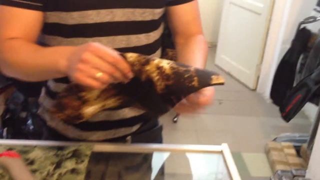 испытание лайкры JakBoeno смотреть онлайн