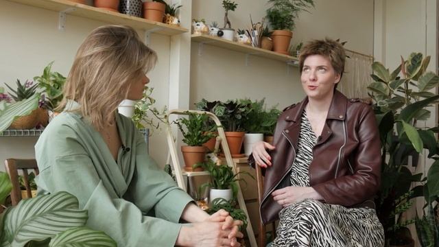 Как стать фитодизайнером? Советы новичкам по выбору растений и уходу от Мадам Фитиль