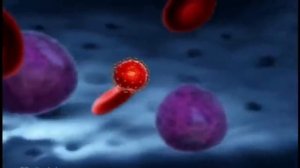 репликация ВИЧ