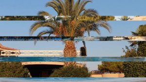 MARTI Myra Tekirova Kemer Hotel 5 star All inclusive (Марти Мира, Текирова)