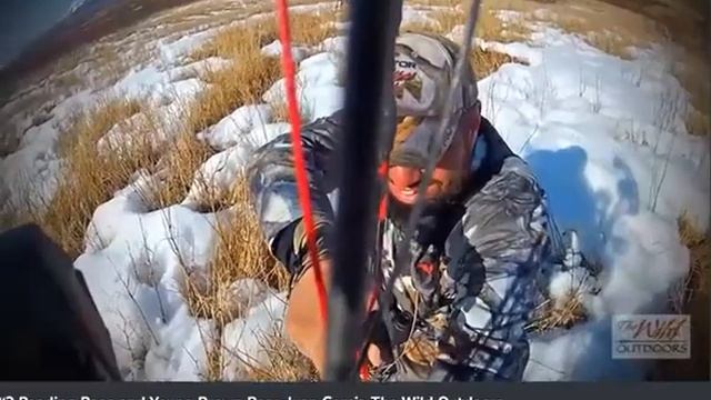 Охота с луком на бурого медведя смотреть онлайн