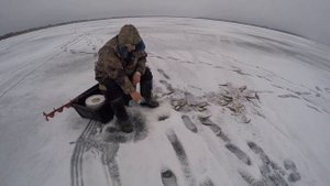 зимняя рыбалка на реке Волхов( Устье).