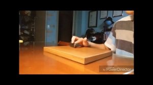 Скейт для пальцев   ручной скейт  Трюки на фингерборде