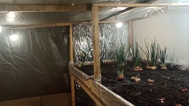 Обогрев теплицы. Самый дешёвый способ. смотреть онлайн