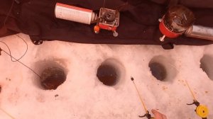 рыбалка на Томи  2022 АКВАРИУМ