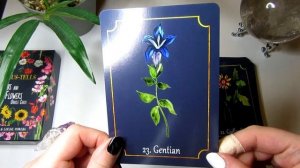 TAURUS-TELLS Herbs And Flowers Oracle Cards ?? Deck Unboxing Review + Bonus Reading