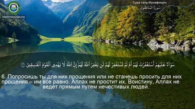 63. _Сура_ ❤️Аль-Мунафикун❤️ Мишари Рашид смотреть онлайн