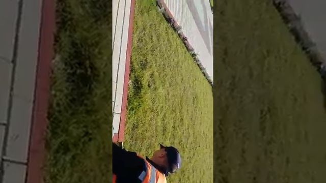 Вот так в ДПО Новосибирска стригут газоны на станции Сеятель! смотреть онлайн