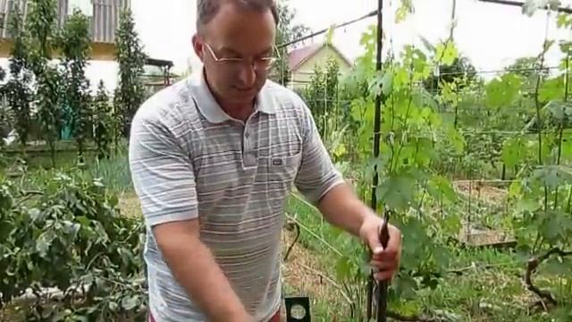 Лето 2013. Переделываем кустодержатель (4). смотреть онлайн