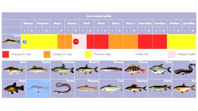 Сезон клева хищной рыбы смотреть онлайн