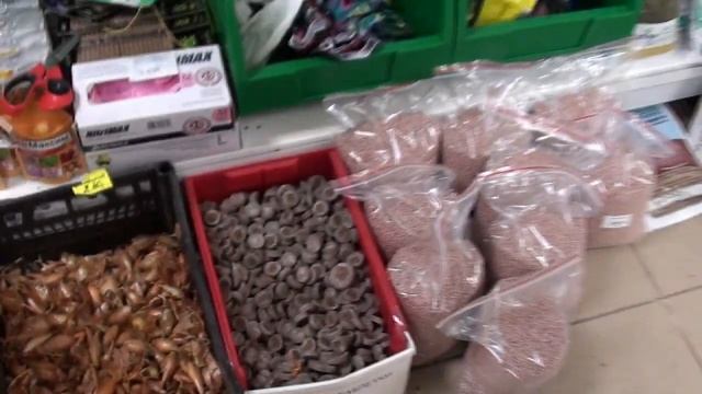 Экскурсия по оптово-розничному магазину семян и сопутствующих товаров. смотреть онлайн