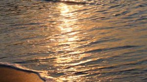 Морской фон для сайта