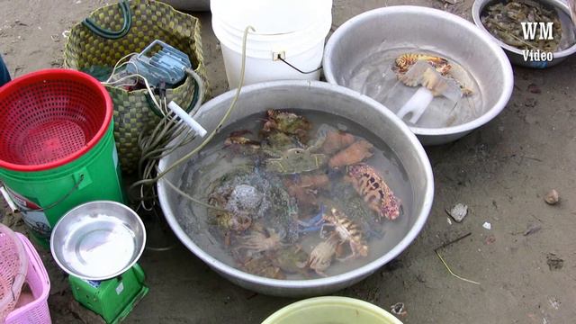 Vietnam Bildershow PANDANUS смотреть онлайн