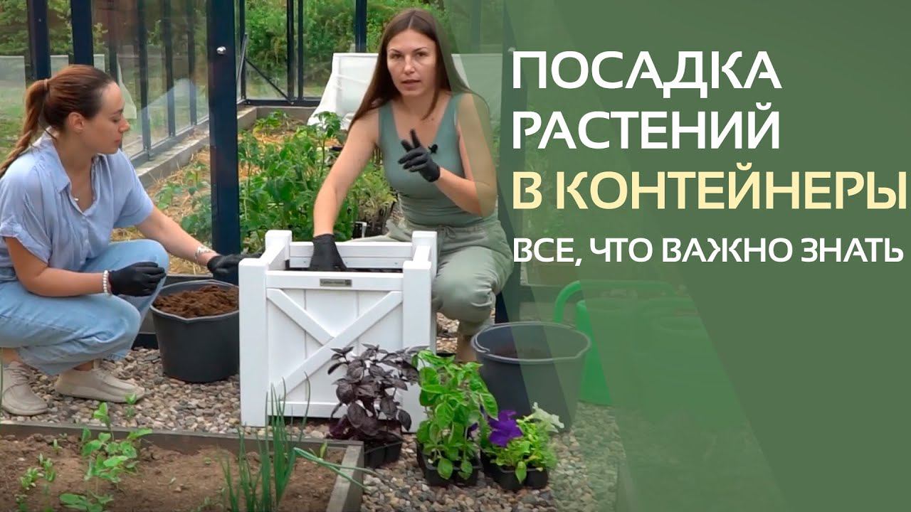 Посадка растений в контейнеры - все, что важно знать. Отвечаем на вопросы с агрономом-экспертом.
