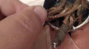 Старая электропроводка в частном доме.